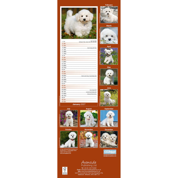 Bichon Frise Calendar 2027 Slimline