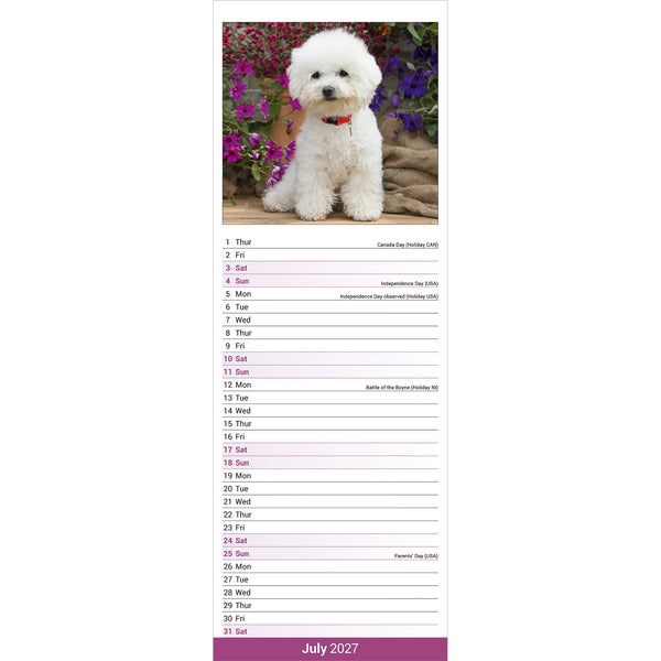 Bichon Frise Calendar 2027 Slimline