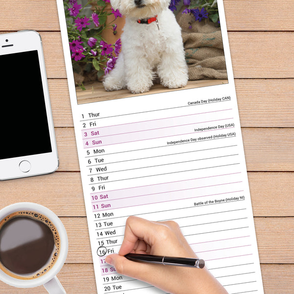Bichon Frise Calendar 2027 Slimline
