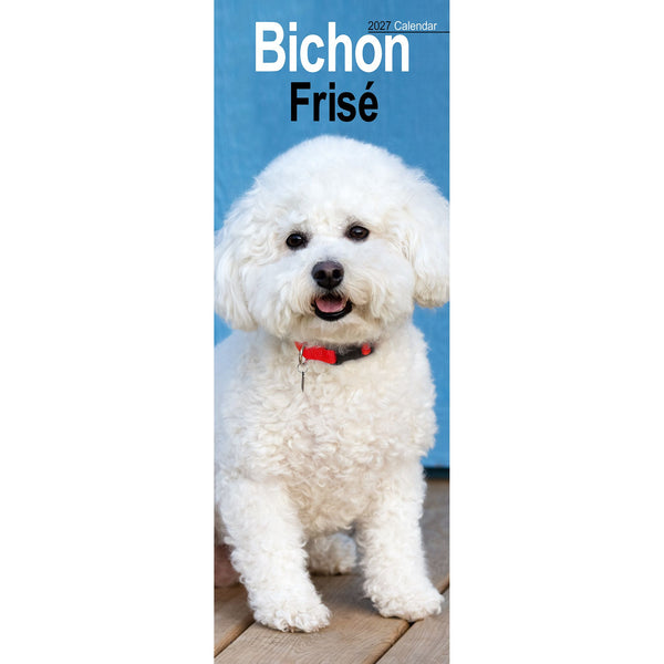 Bichon Frise Calendar 2027 Slimline