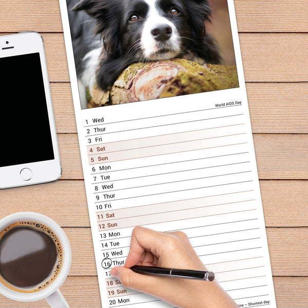 Border Collie Calendar 2027 Slimline