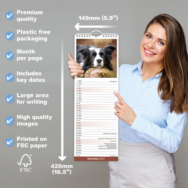 Border Collie Calendar 2027 Slimline