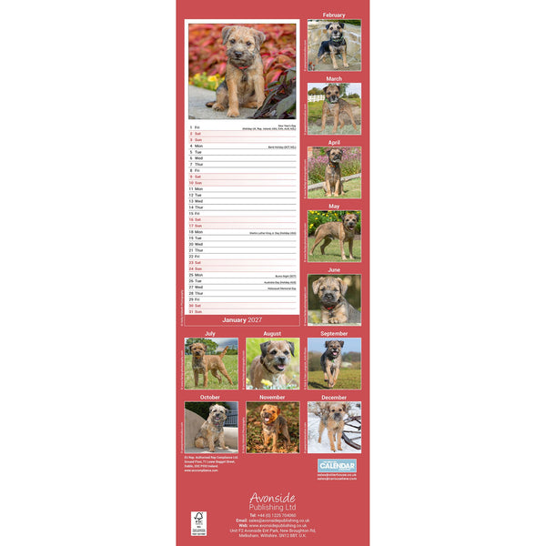 Border Terrier Calendar 2027 Slimline