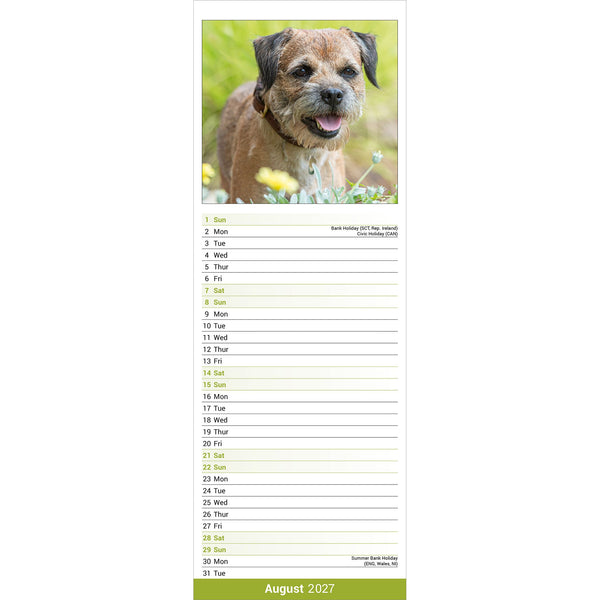 Border Terrier Calendar 2027 Slimline
