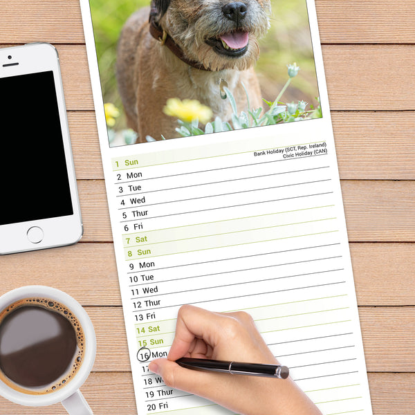 Border Terrier Calendar 2027 Slimline