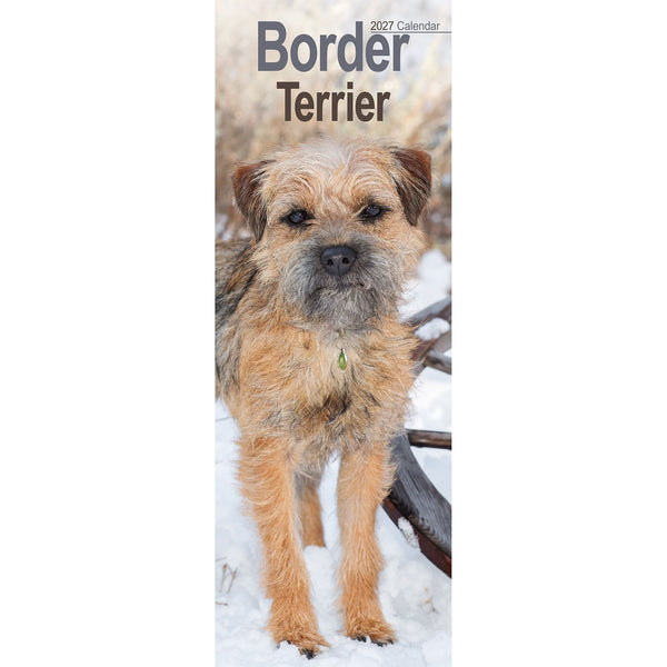Border Terrier Calendar 2027 Slimline