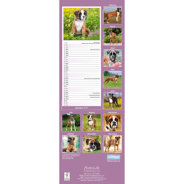 Boxer Calendar 2027 Slimline