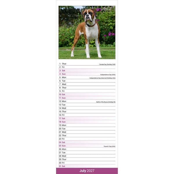 Boxer Calendar 2027 Slimline
