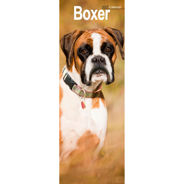 Boxer Calendar 2027 Slimline