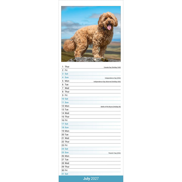 Cockapoo Calendar 2027 Slimline