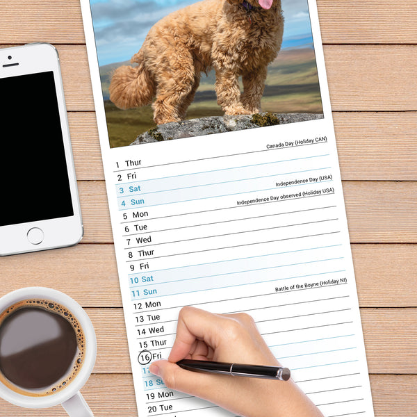 Cockapoo Calendar 2027 Slimline