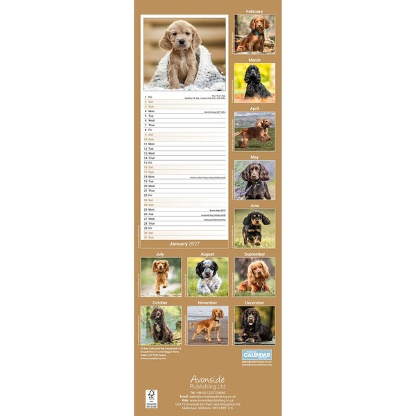 English Cocker Spaniel Calendar 2027 Slimline