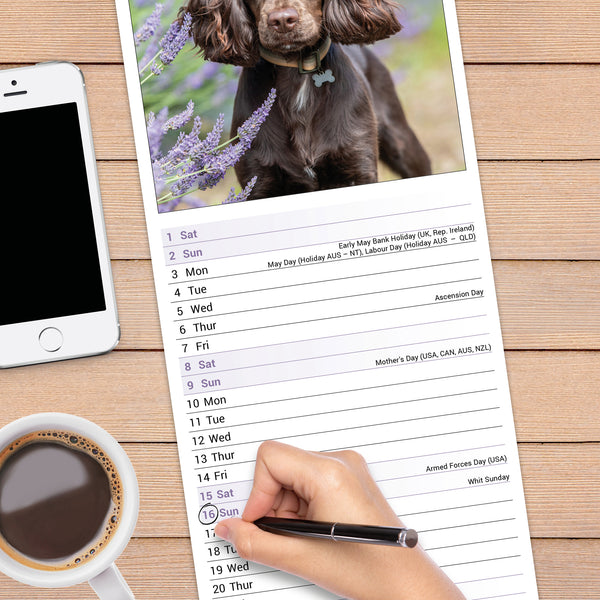 English Cocker Spaniel Calendar 2027 Slimline
