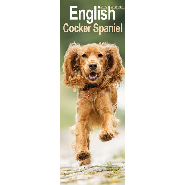 English Cocker Spaniel Calendar 2027 Slimline
