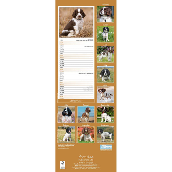 English Springer Spaniel Calendar 2027 Slimline