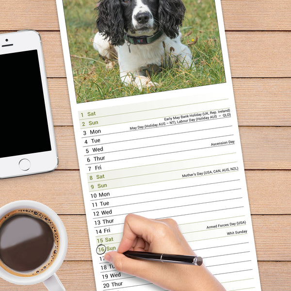 English Springer Spaniel Calendar 2027 Slimline