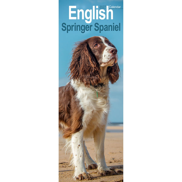 English Springer Spaniel Calendar 2027 Slimline