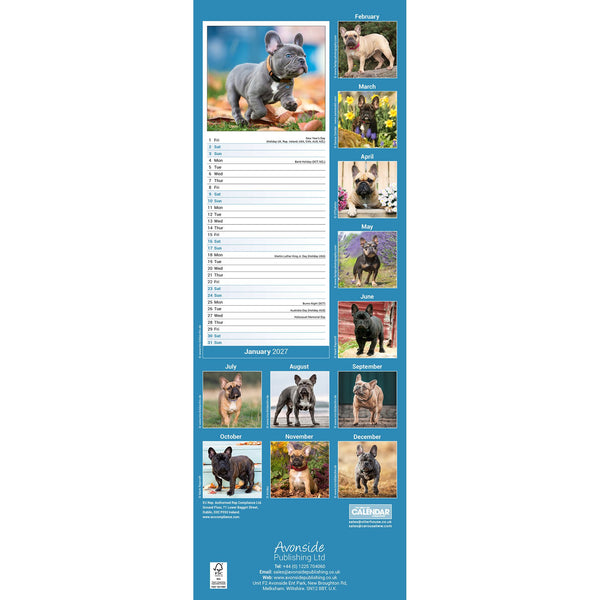 French Bulldog Calendar 2027 Slimline