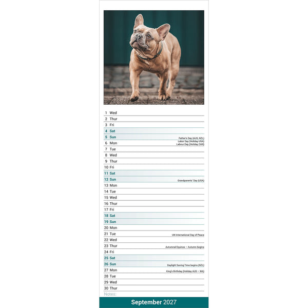French Bulldog Calendar 2027 Slimline