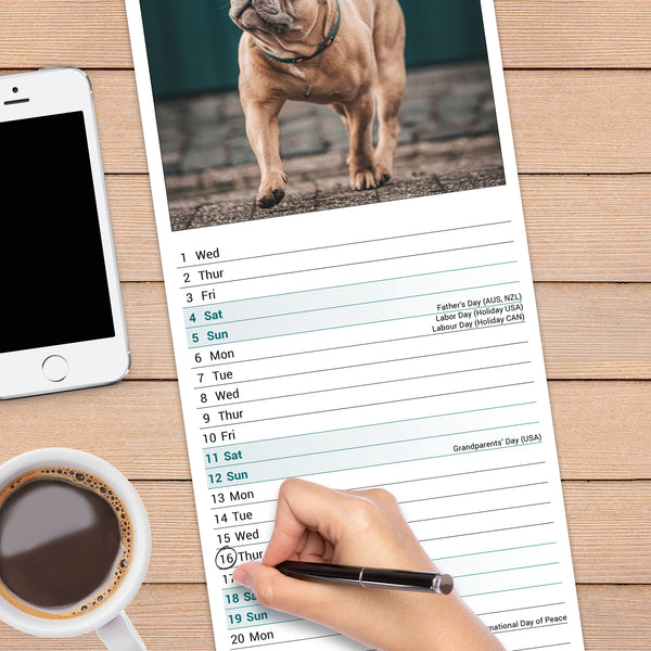 French Bulldog Calendar 2027 Slimline