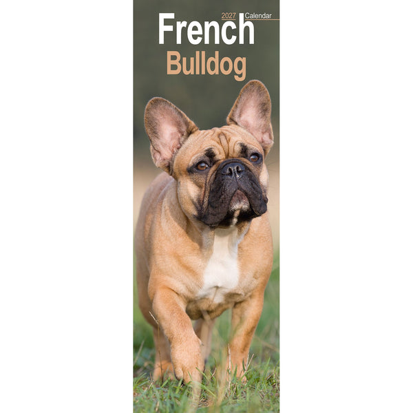 French Bulldog Calendar 2027 Slimline