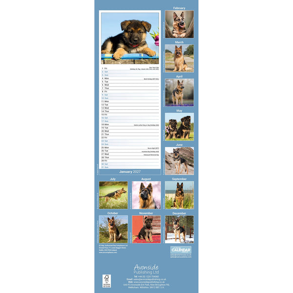 German Shepherd Calendar 2027 Slimline