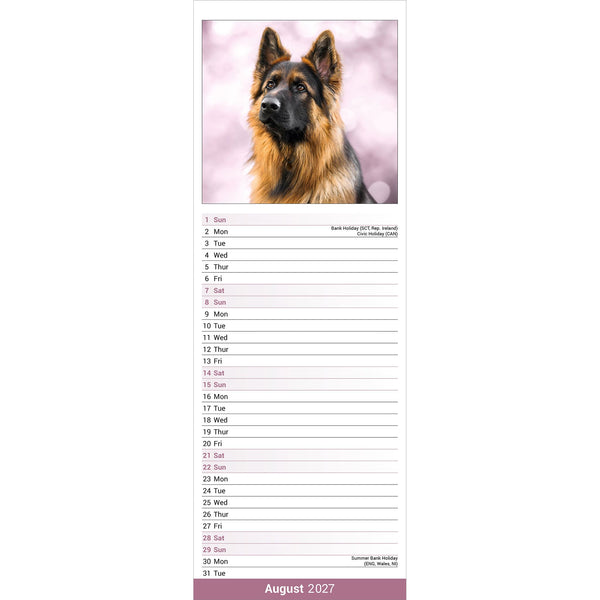 German Shepherd Calendar 2027 Slimline