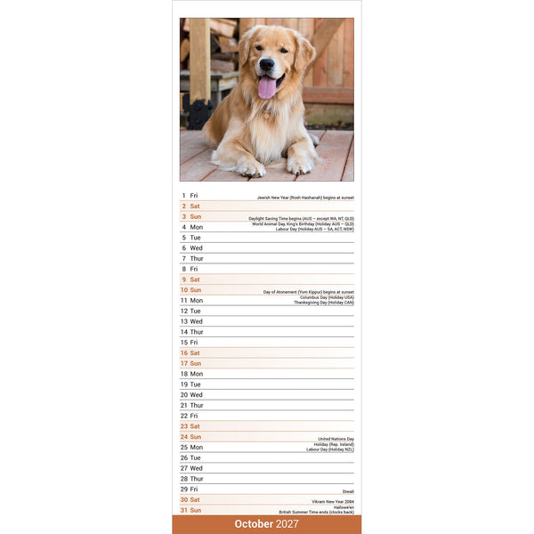 Golden Retriever Calendar 2027 Slimline