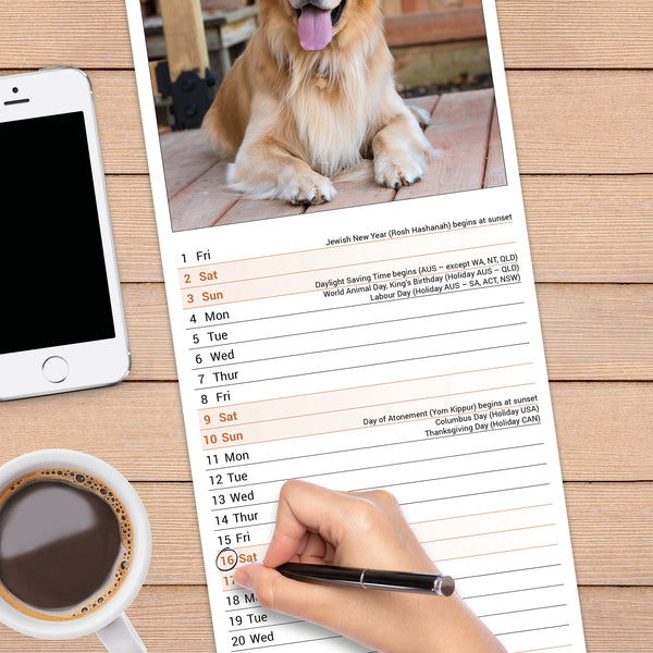 Golden Retriever Calendar 2027 Slimline