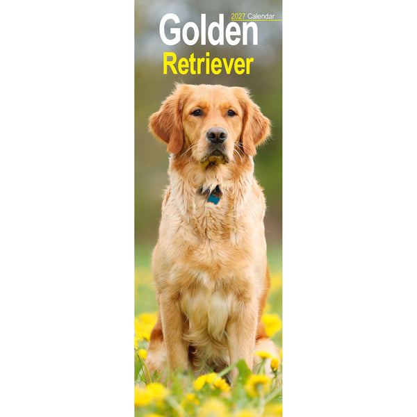Golden Retriever Calendar 2027 Slimline