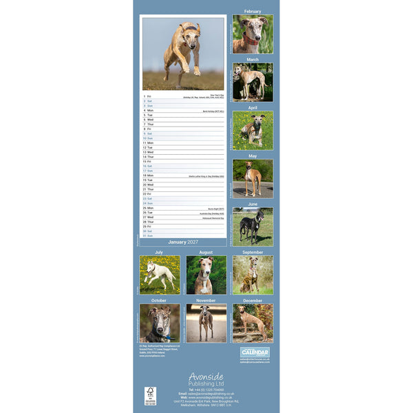 Greyhound Calendar 2027 Slimline
