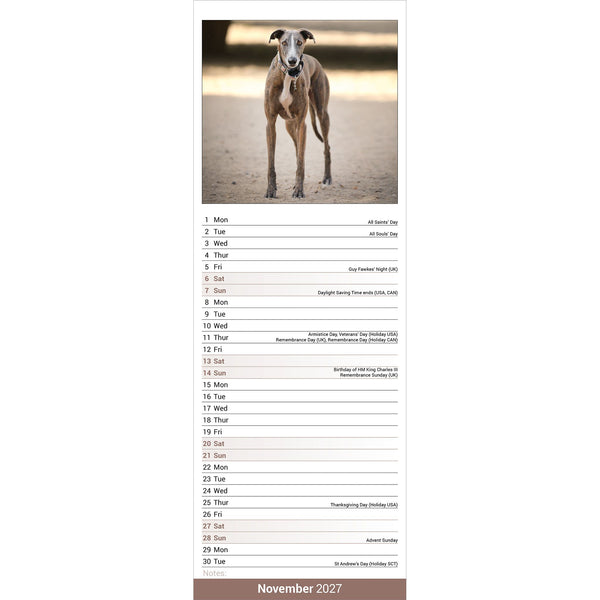 Greyhound Calendar 2027 Slimline