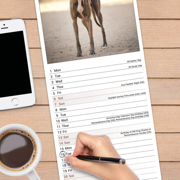 Greyhound Calendar 2027 Slimline