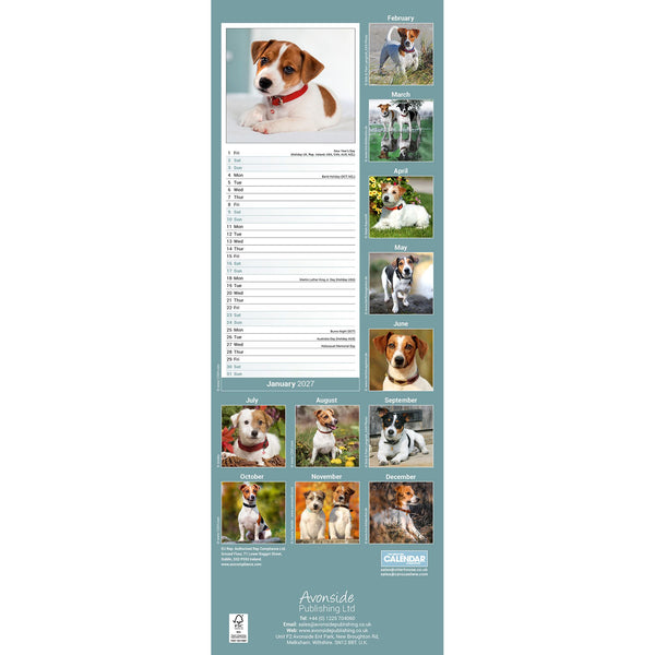 Jack Russell Calendar 2027 Slimline