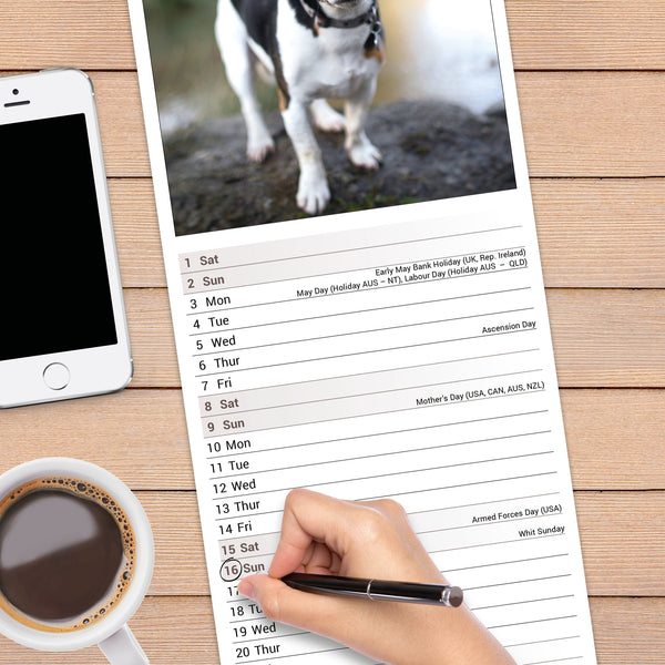 Jack Russell Calendar 2027 Slimline