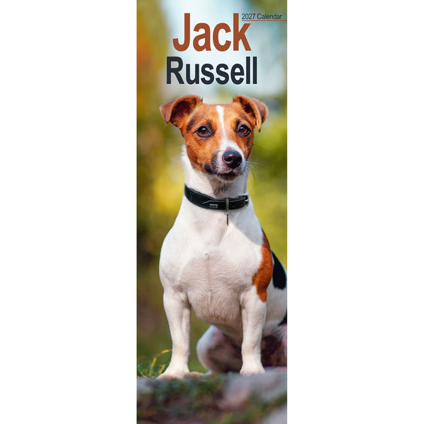 Jack Russell Calendar 2027 Slimline