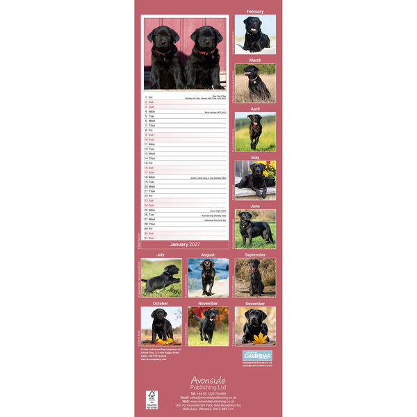 Black Labrador Retriever Calendar 2027 Slimline