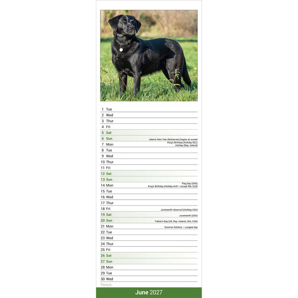Black Labrador Retriever Calendar 2027 Slimline