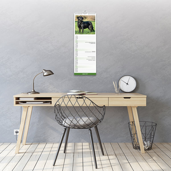 Black Labrador Retriever Calendar 2027 Slimline