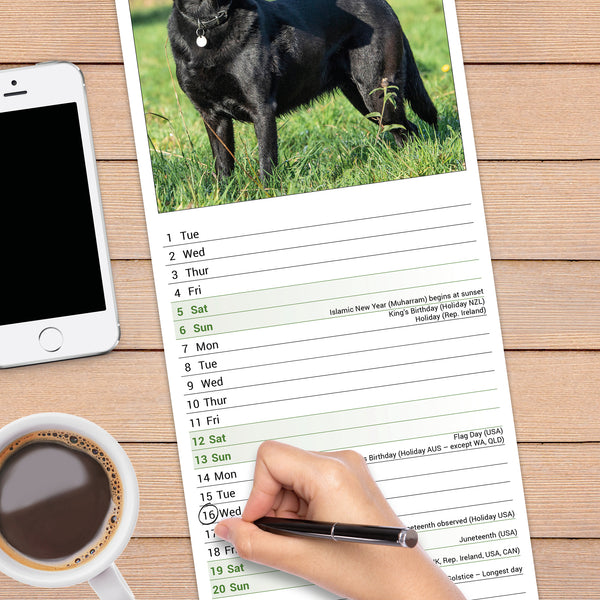 Black Labrador Retriever Calendar 2027 Slimline