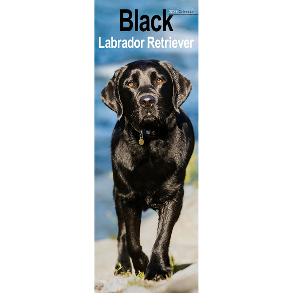 Black Labrador Retriever Calendar 2027 Slimline