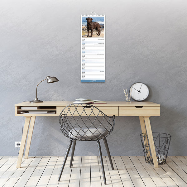 Chocolate Labrador Retriever Calendar 2027 Slimline
