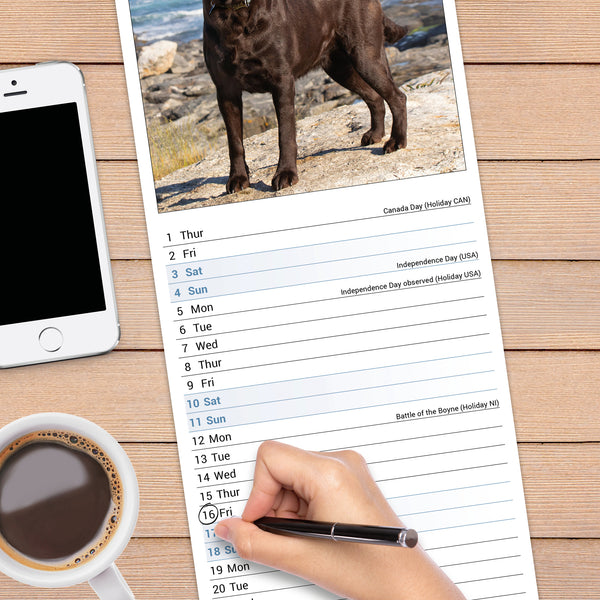 Chocolate Labrador Retriever Calendar 2027 Slimline