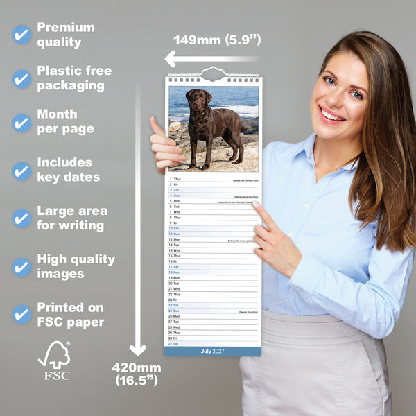 Chocolate Labrador Retriever Calendar 2027 Slimline