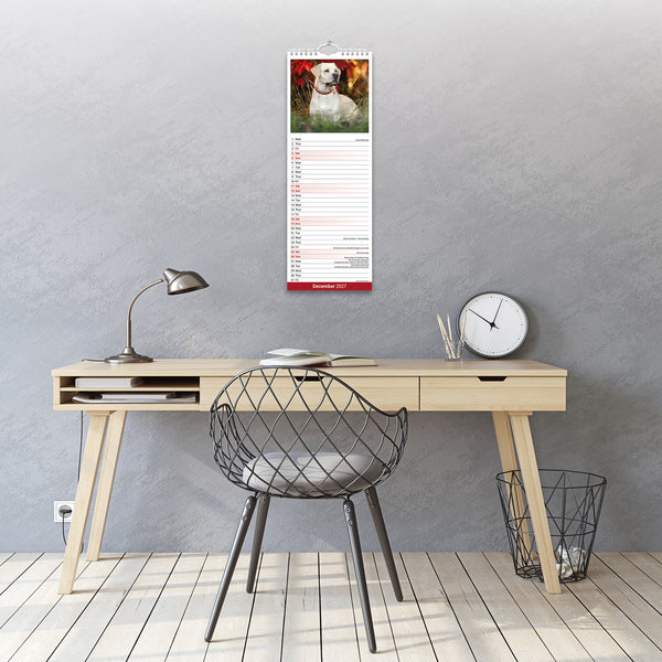 Yellow Labrador Retriever Calendar 2027 Slimline