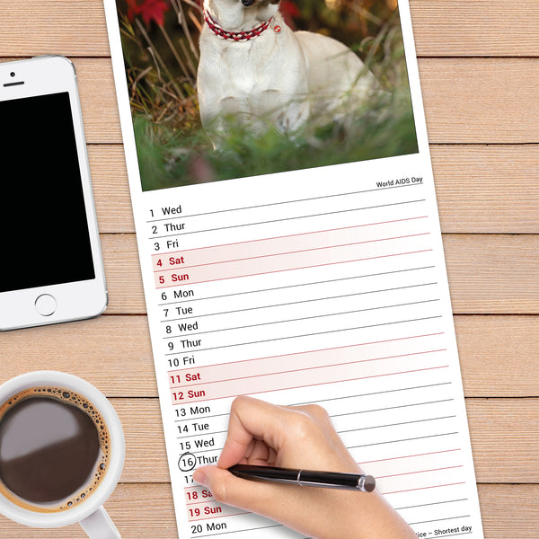 Yellow Labrador Retriever Calendar 2027 Slimline