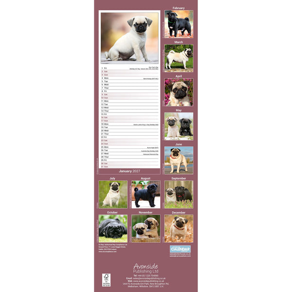 Pug Calendar 2027 Slimline