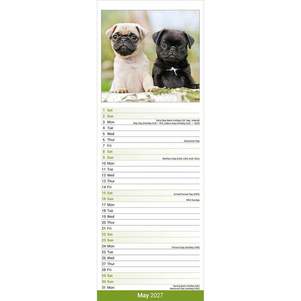 Pug Calendar 2027 Slimline