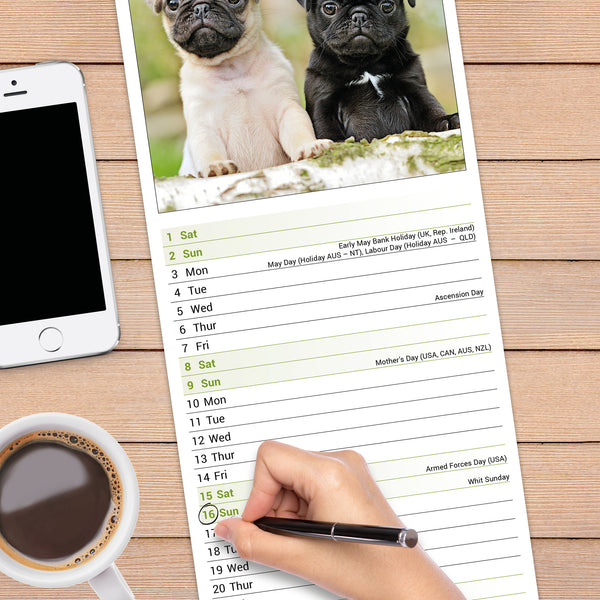 Pug Calendar 2027 Slimline