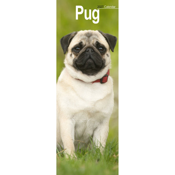 Pug Calendar 2027 Slimline